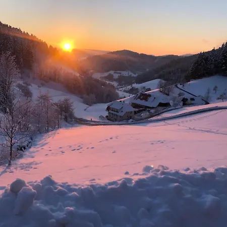 Appartement Mit Whirlpool Und Fass-sauna Im Schwarzwald By Interhome *