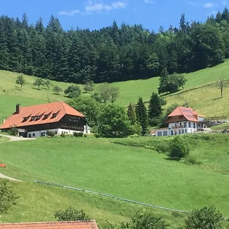 Mit Whirlpool Und Fass-sauna Im Schwarzwald By Interhome Hausach
