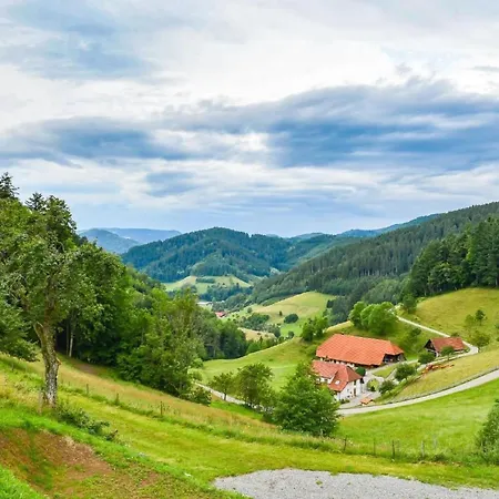 Mit Whirlpool Und Fass-sauna Im Schwarzwald By Interhome Appartement